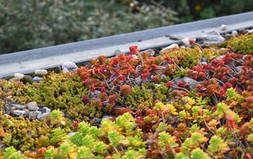 the cost of Herodsfoot green roof installation