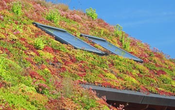 Herodsfoot living roof systems
